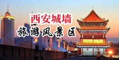 嗯嗯啊啊三级在线电影色水嗯中国陕西-西安城墙旅游风景区