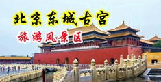 国产美女操逼又大硬操处女中国北京-东城古宫旅游风景区